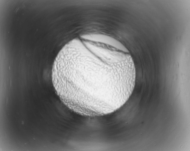 X0000088070177200706081717