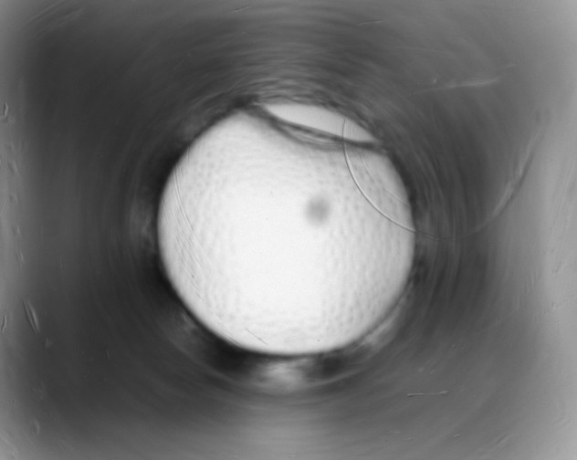 X0000088070178200706081717