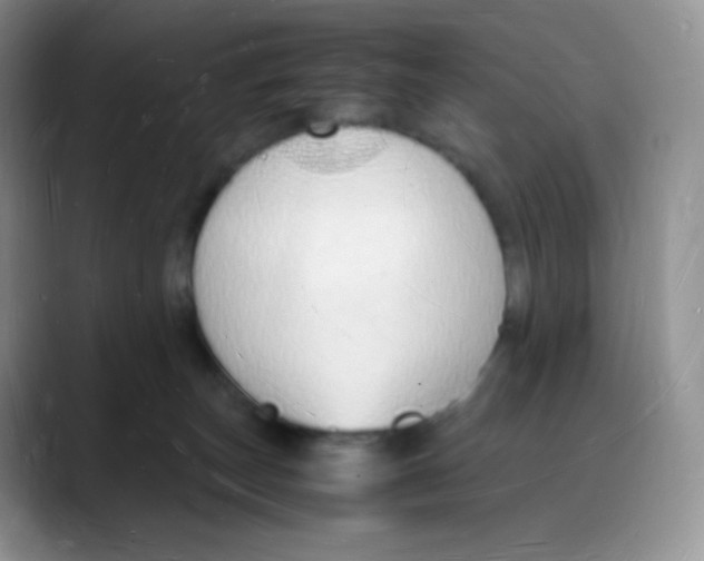 X0000088070179200706081717