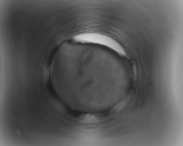 X0000088070180200706081717