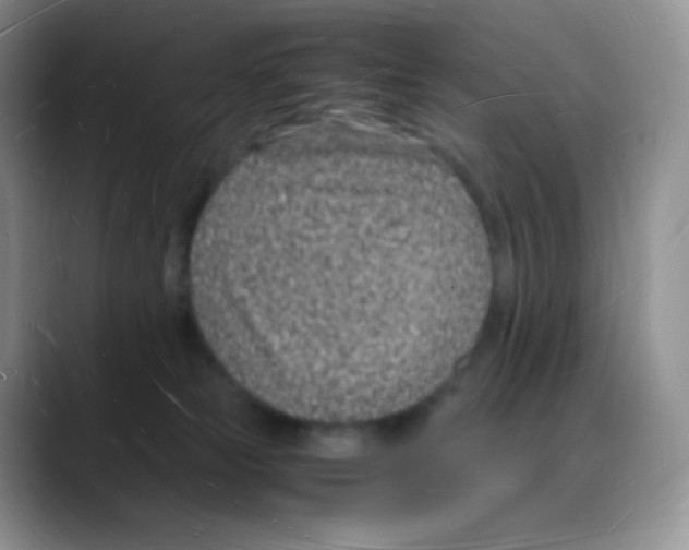 X0000088070181200706081717