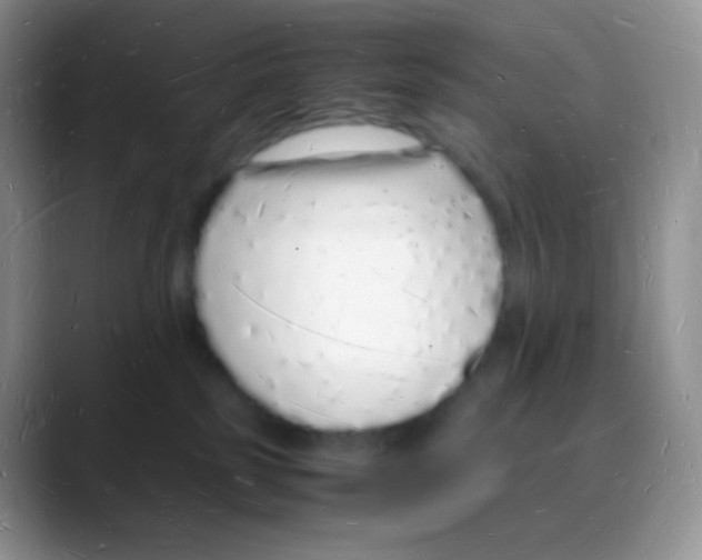 X0000088070185200706081717