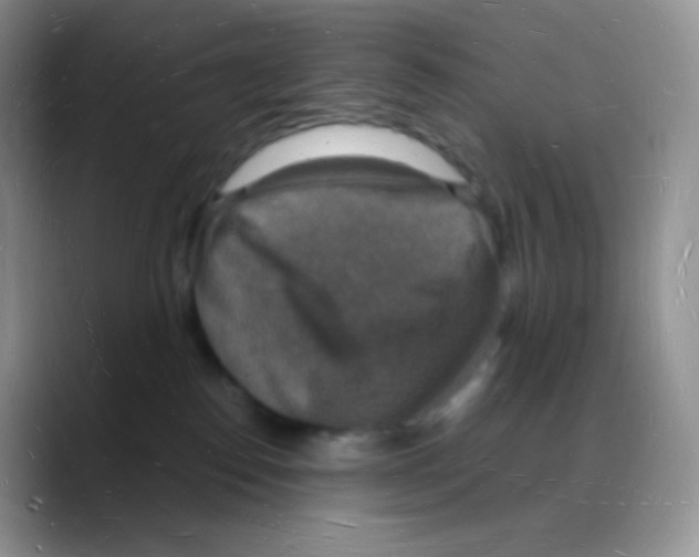 X0000088070186200706081717