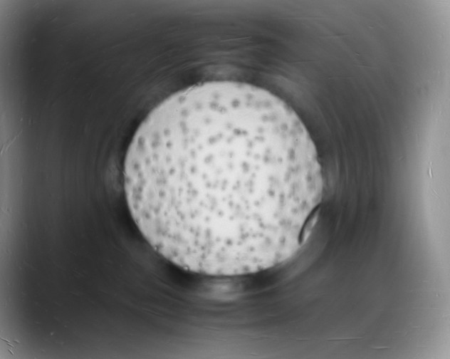 X0000088070187200706081717