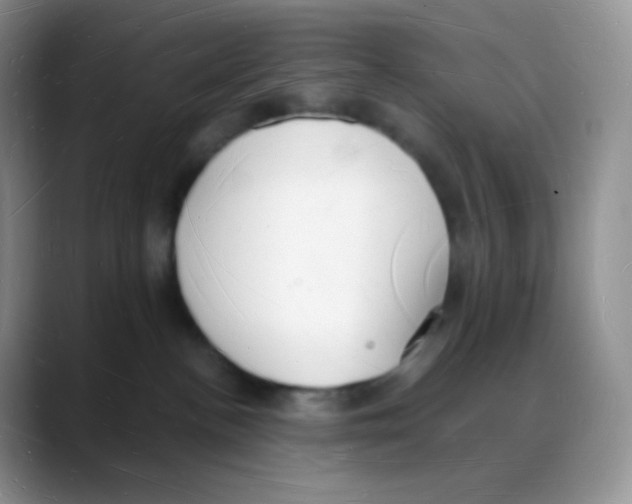 X0000088070188200706081717