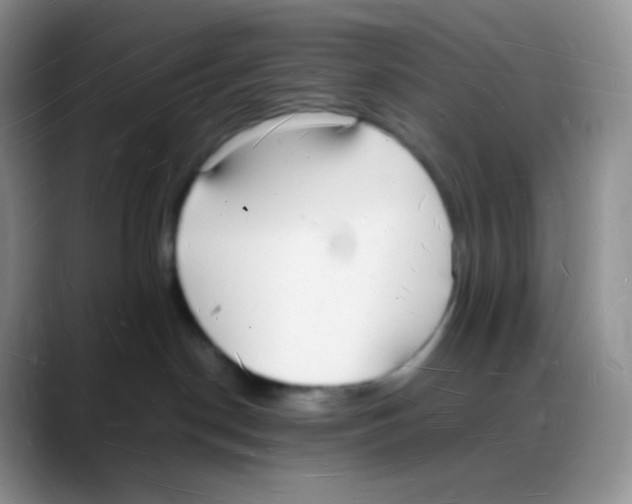 X0000088070190200706081717