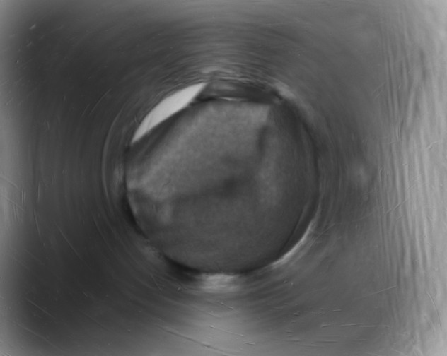 X0000088070192200706081717