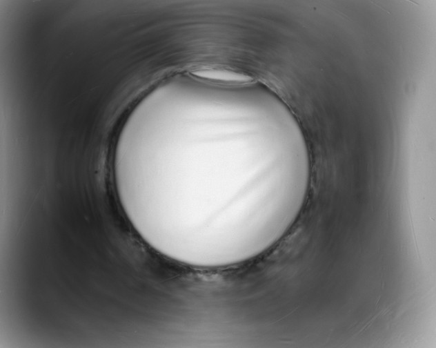 X0000088070194200706081716