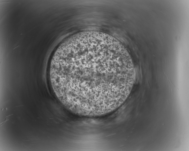 X0000088070195200706081716