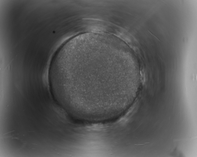 X0000088070196200706081716