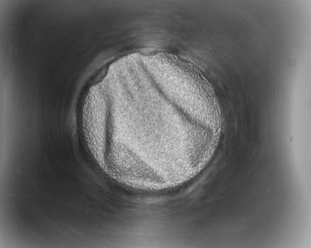 X0000088070198200706081716