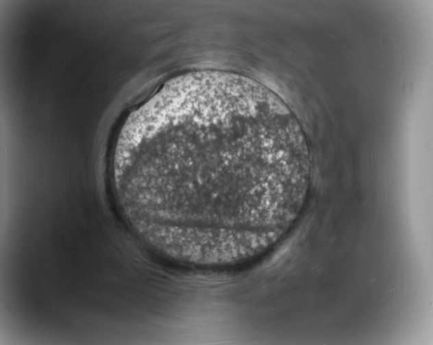 X0000088070199200706081716