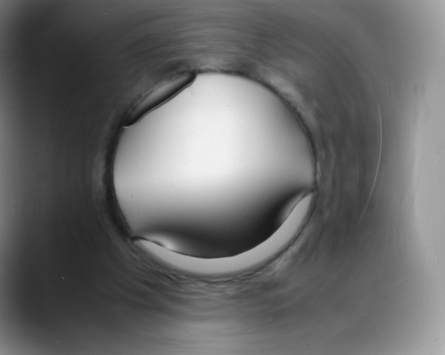 X0000088070201200706081716
