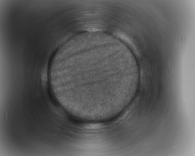 X0000088070202200706081716