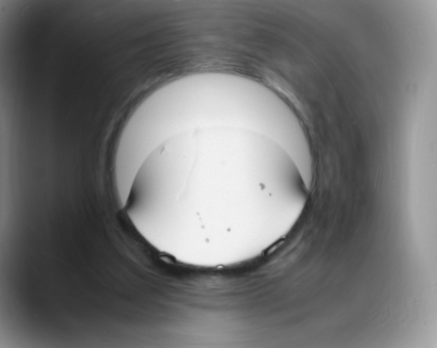 X0000088070203200706081716