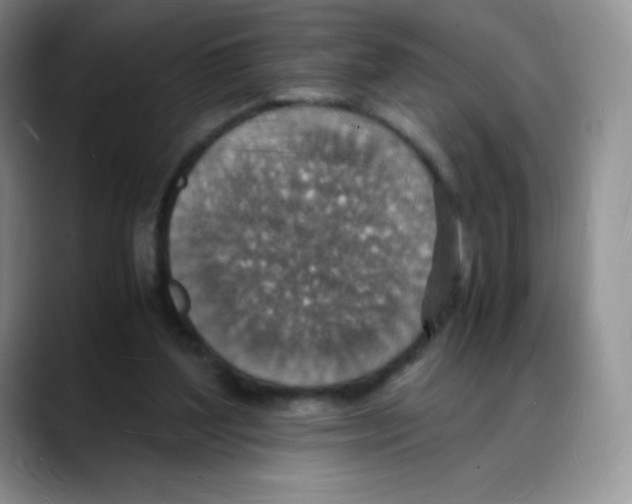 X0000088070204200706081716