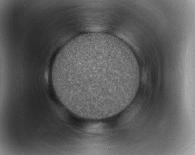 X0000088070206200706081716