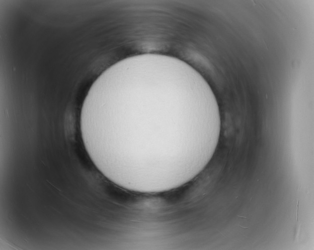 X0000088070210200706081716