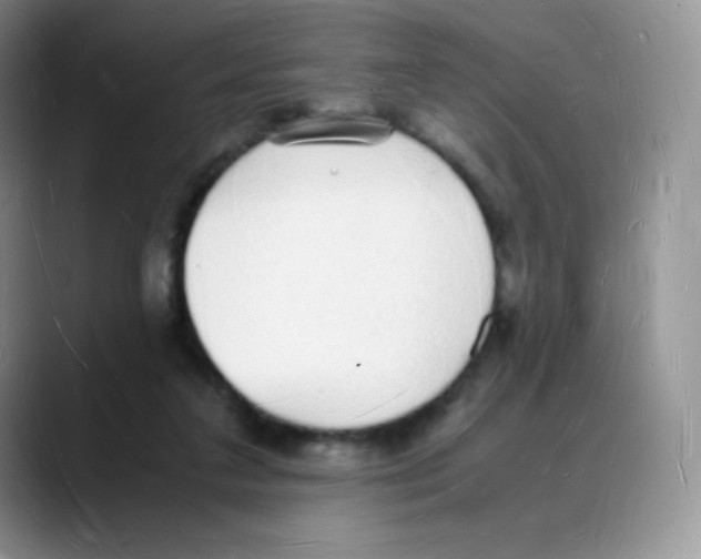 X0000088070211200706081716