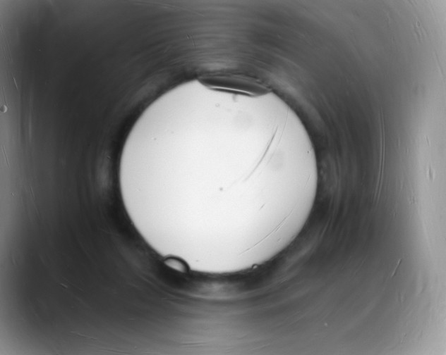 X0000088070212200706081716