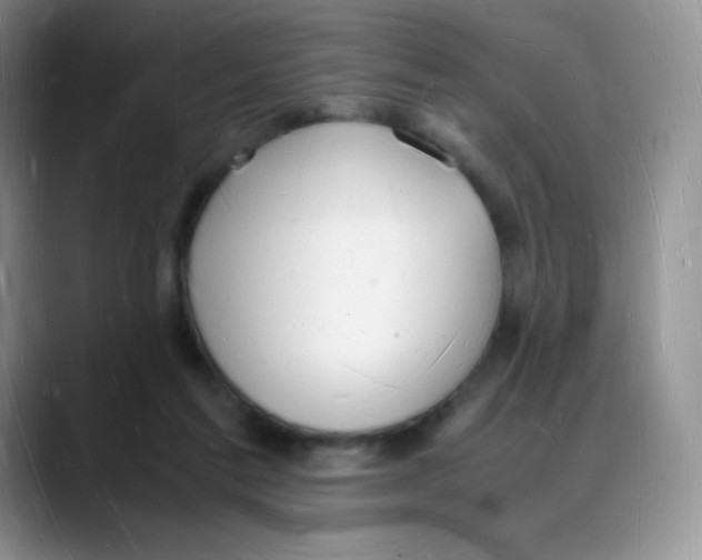 X0000088070213200706081716
