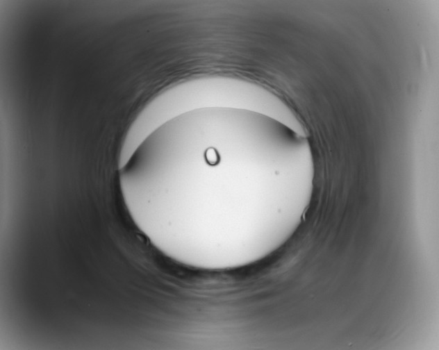 X0000088070215200706081716