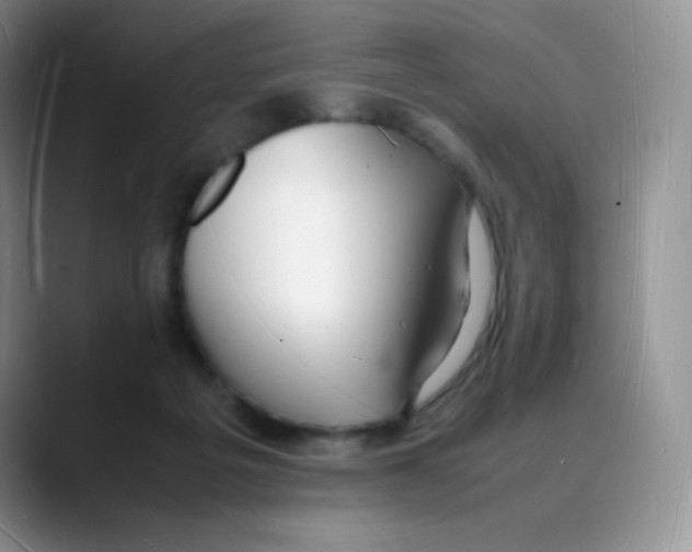 X0000088070217200706081716