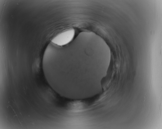 X0000088070219200706081716