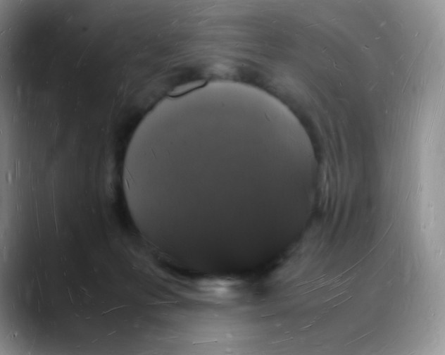X0000088070223200706081716