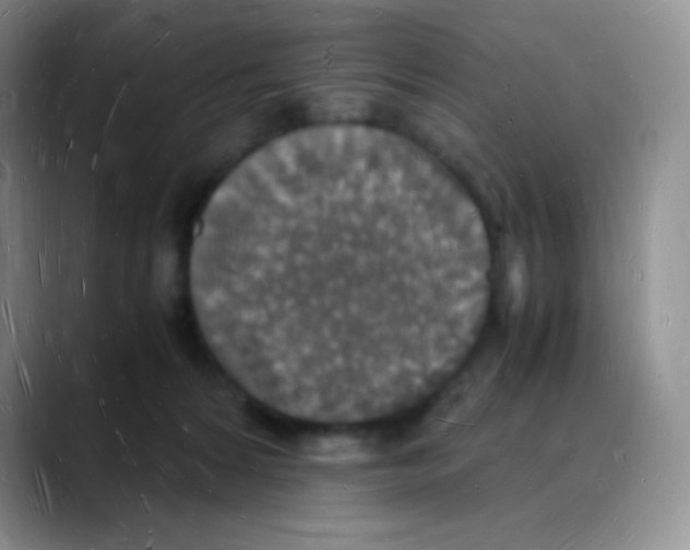 X0000088070224200706081716
