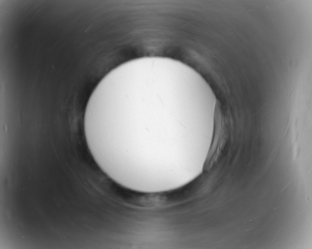 X0000088070225200706081716