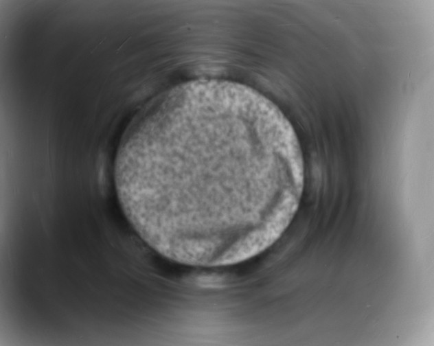 X0000088070228200706081716