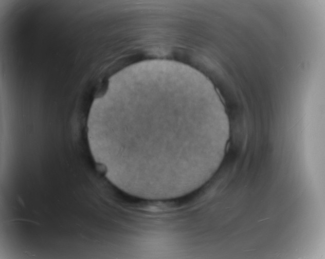 X0000088070229200706081716