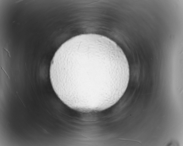 X0000088070230200706081716