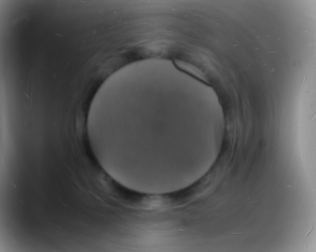 X0000088070231200706081716