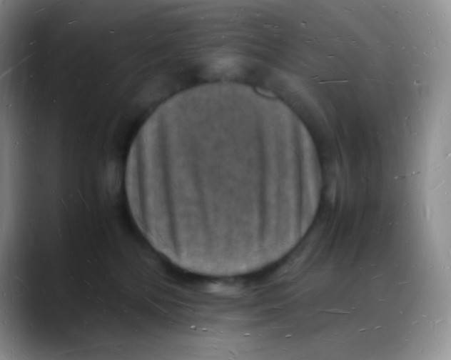 X0000088070232200706081716