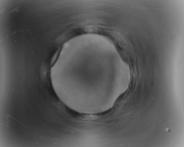 X0000088070233200706081716