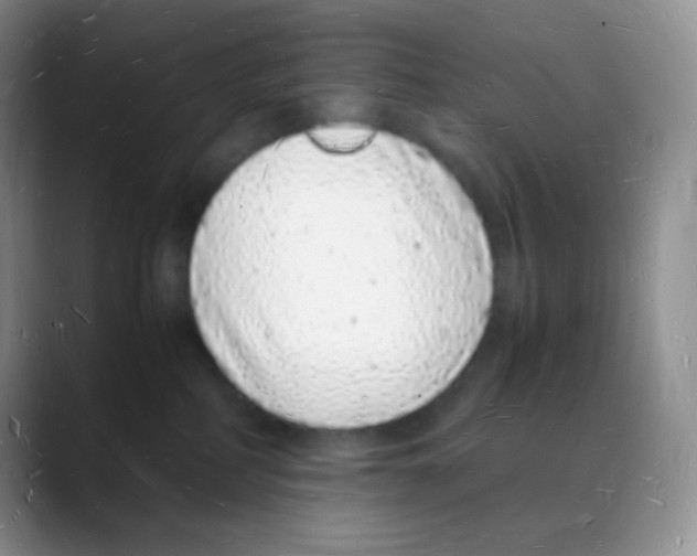 X0000088070234200706081716