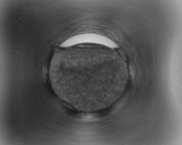 X0000088070235200706081716