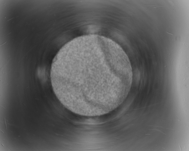 X0000088070236200706081716