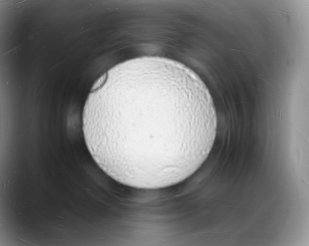 X0000088070238200706081716