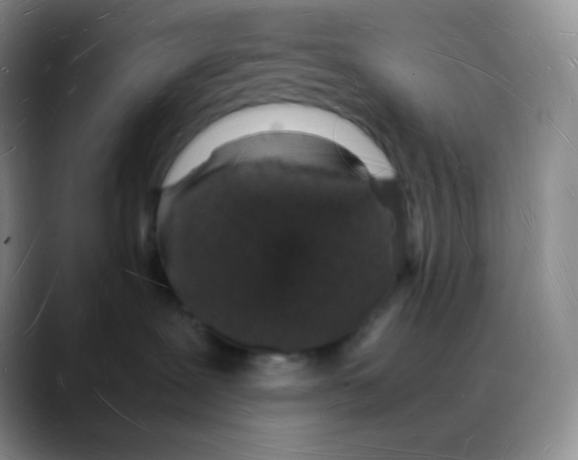 X0000088070239200706081716
