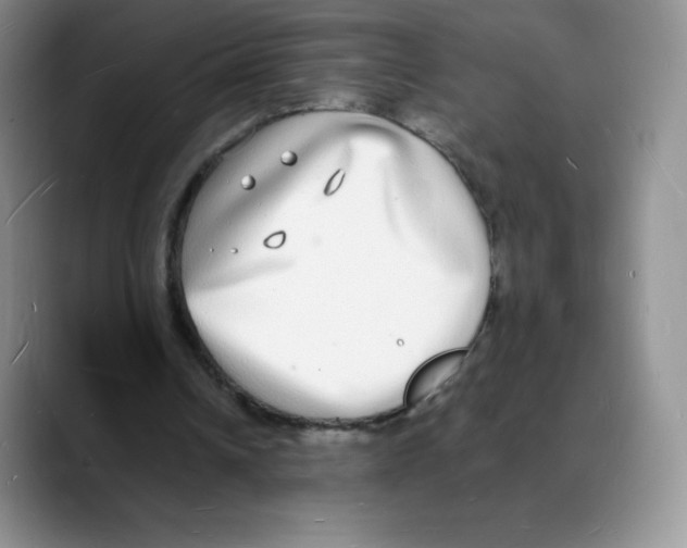X0000088070242200706081715