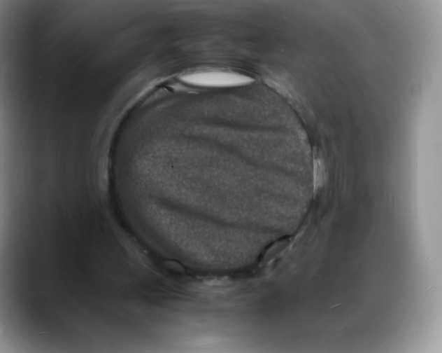 X0000088070243200706081715
