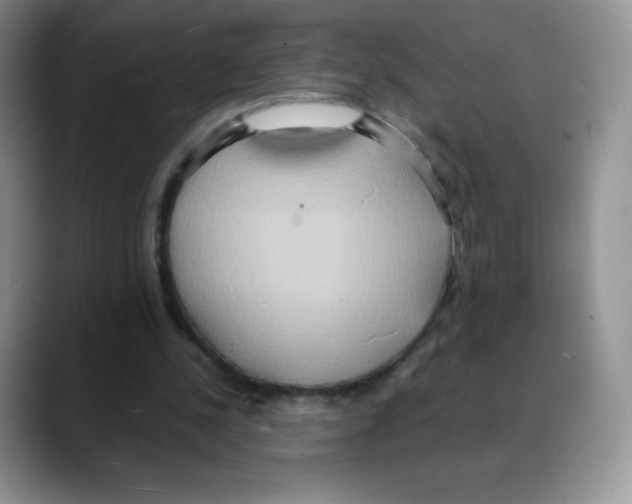 X0000088070244200706081715