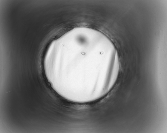 X0000088070245200706081715