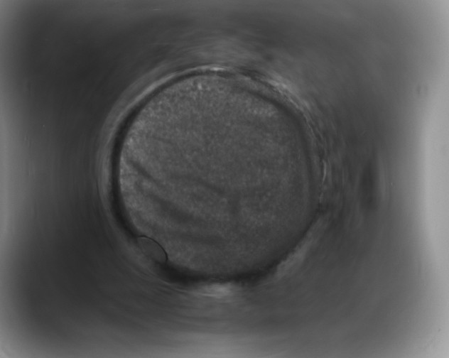 X0000088070247200706081715