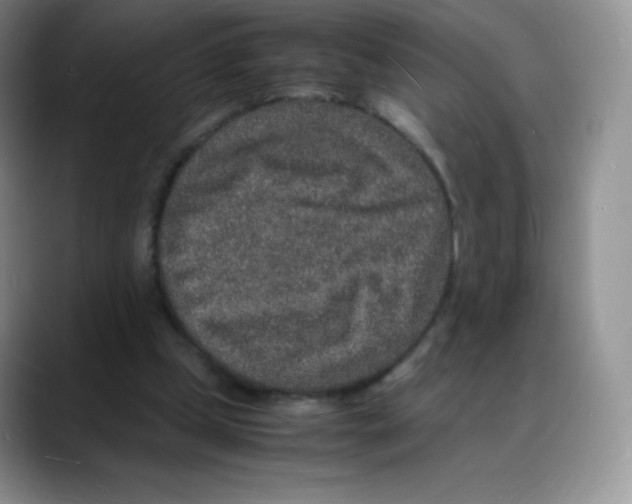 X0000088070249200706081715