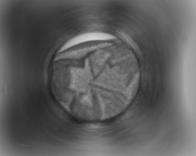 X0000088070250200706081715