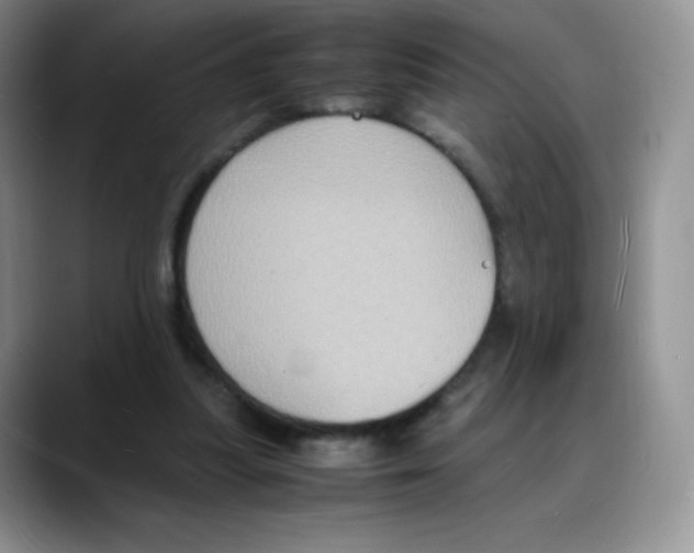 X0000088070251200706081715